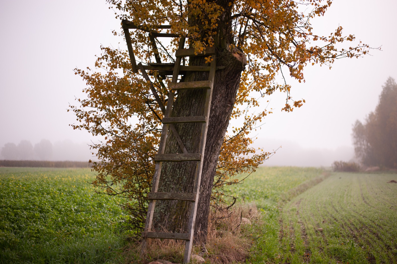 Przestrzeń do pracy rozwojowej