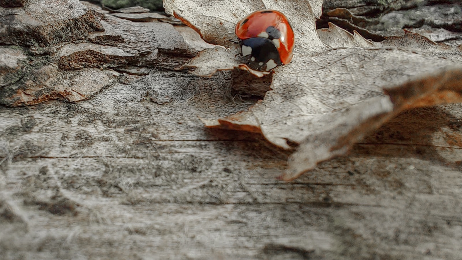 Przestrzeń do praktyki uważności