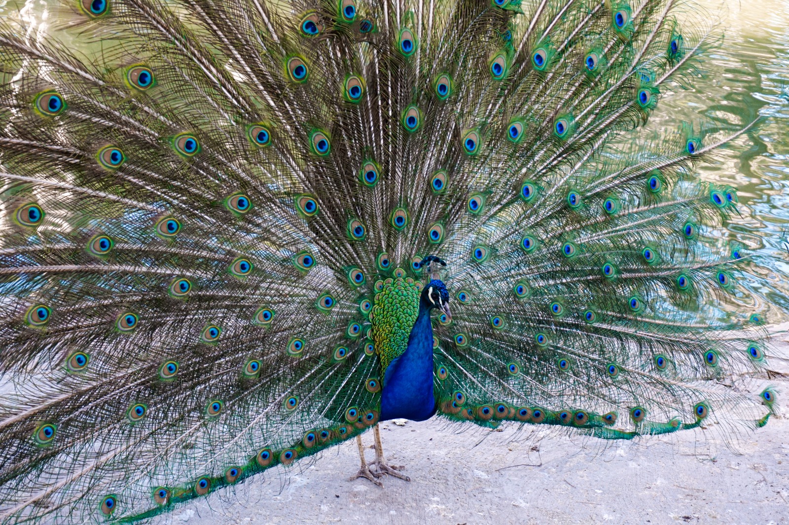 Sala do psychoterapii grupowej