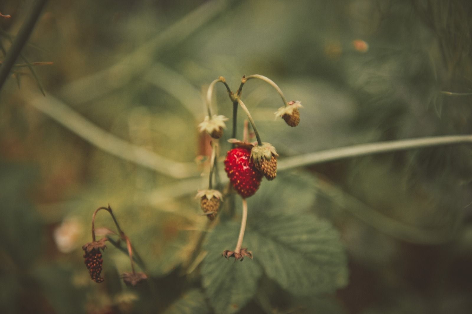Gabinet do terapii indywidualnej