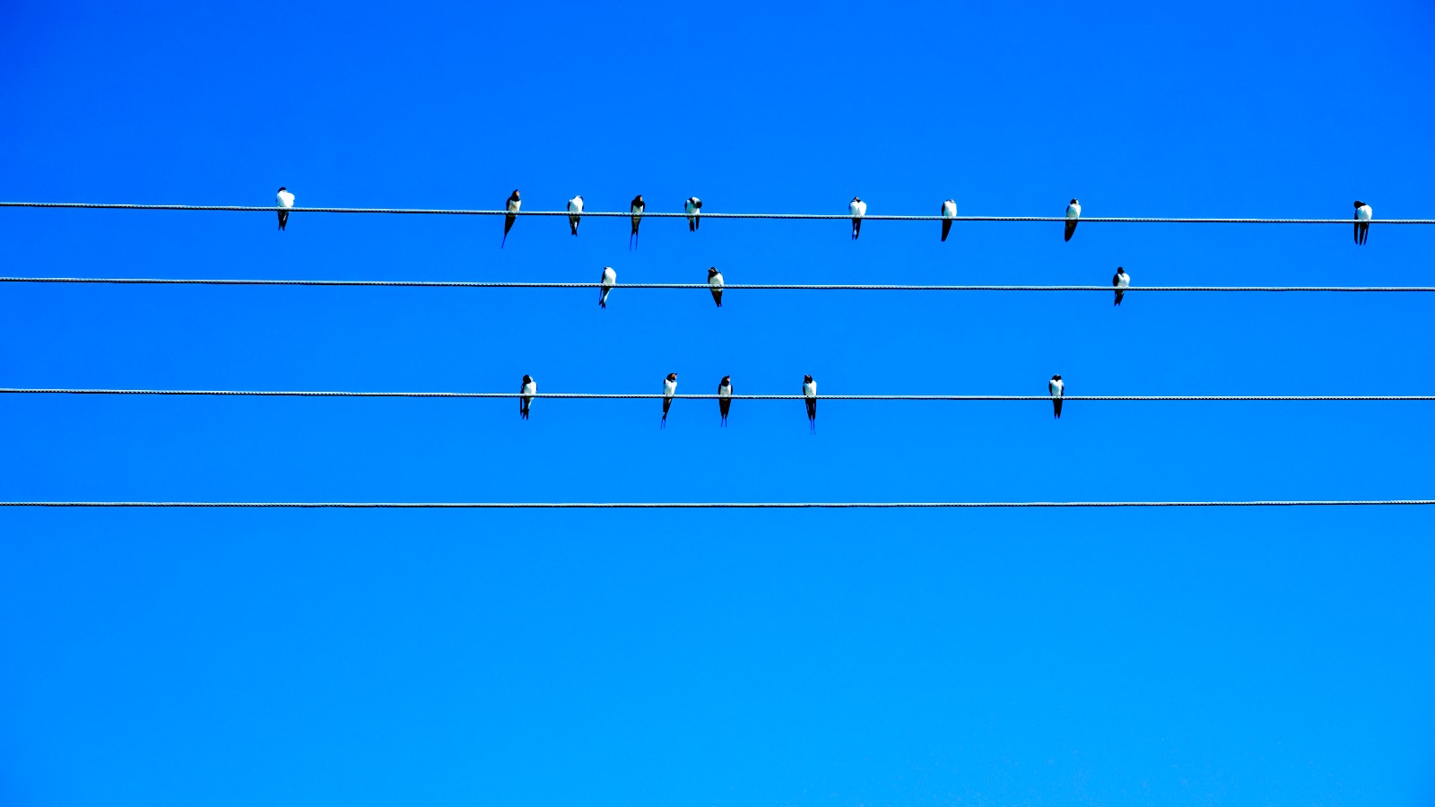 Sala do terapii rodzinnej